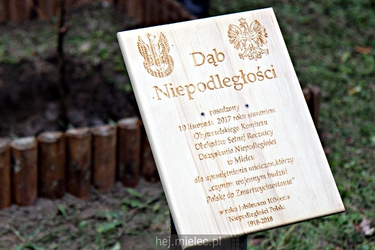 Uroczystość zasadzenia Dębu Niepodległości