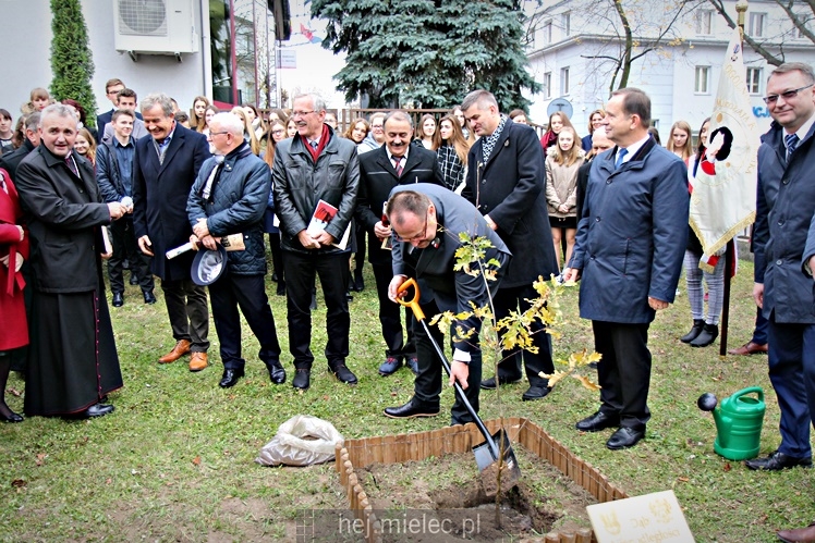Uroczystość zasadzenia Dębu Niepodległości