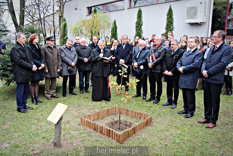 Uroczystość zasadzenia Dębu Niepodległości
