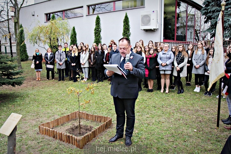 Uroczystość zasadzenia Dębu Niepodległości