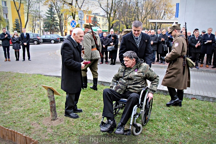Uroczystość zasadzenia Dębu Niepodległości