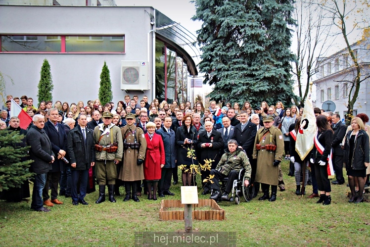 Uroczystość zasadzenia Dębu Niepodległości
