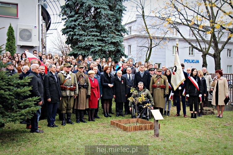Uroczystość zasadzenia Dębu Niepodległości