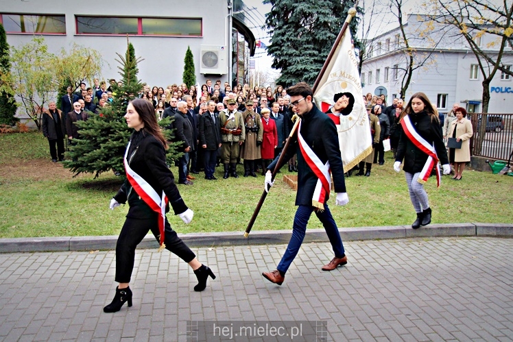 Uroczystość zasadzenia Dębu Niepodległości