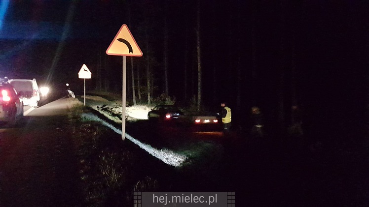 Zderzenie z łosiem na obwodnicy