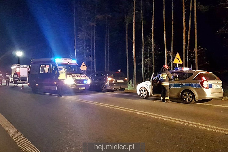 Zderzenie z łosiem na obwodnicy