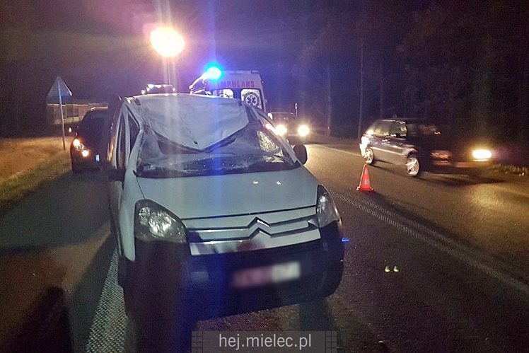 Zderzenie z łosiem na obwodnicy