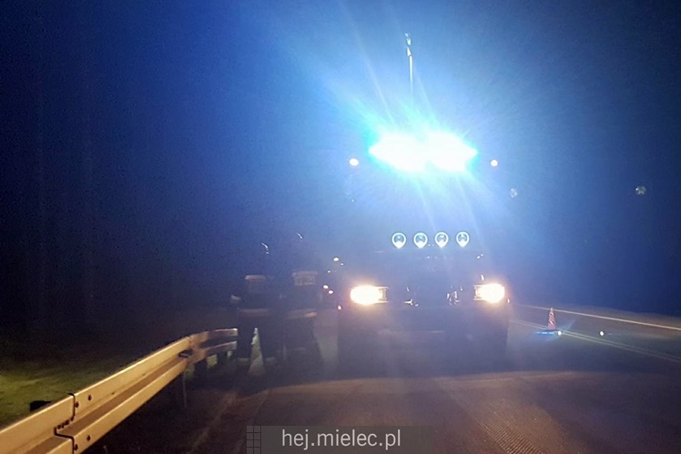 Zderzenie z łosiem na obwodnicy