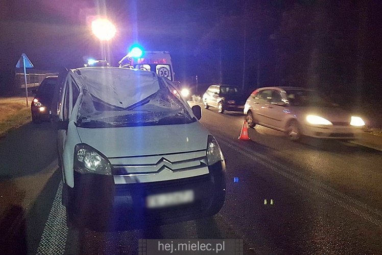 Zderzenie z łosiem na obwodnicy