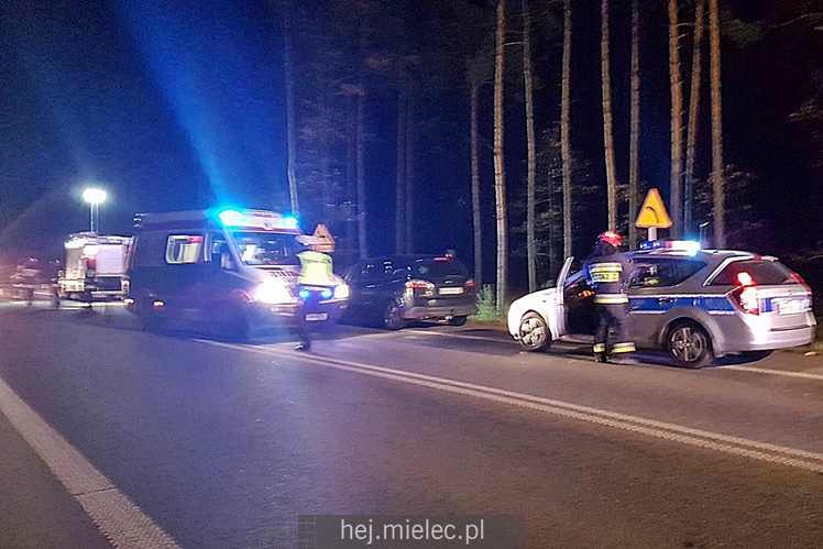 Zderzenie z łosiem na obwodnicy