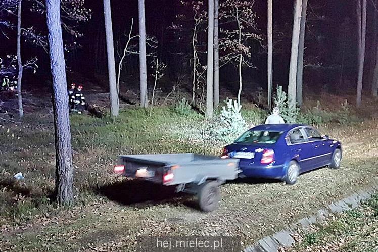 Zderzenie z łosiem na obwodnicy