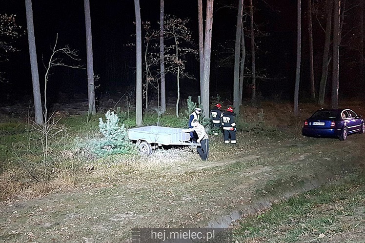 Zderzenie z łosiem na obwodnicy