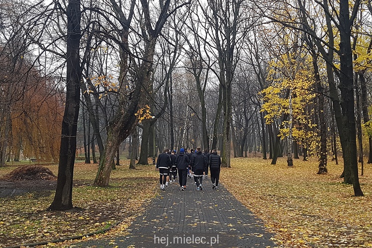 Ruch Chorzów - FKS Stal Mielec 1:2