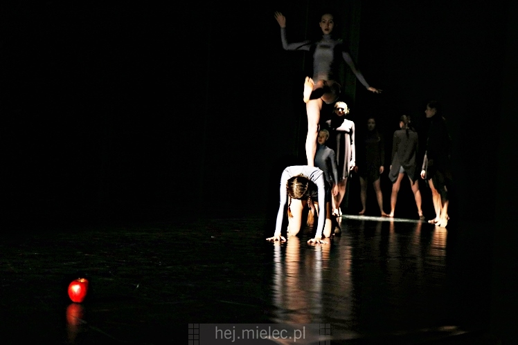 XI Festiwal Tańca Współczesnego: Kontrasty ? CZĘŚĆ I