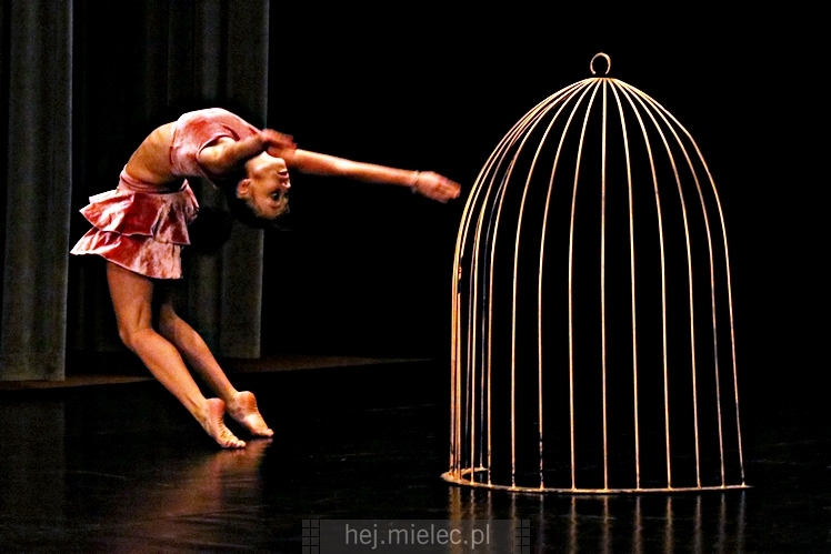 XI Festiwal Tańca Współczesnego: Kontrasty ? CZĘŚĆ I