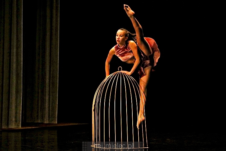 XI Festiwal Tańca Współczesnego: Kontrasty ? CZĘŚĆ I