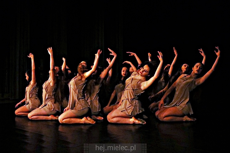 XI Festiwal Tańca Współczesnego: Kontrasty ? CZĘŚĆ II