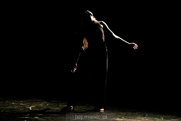 XI Festiwal Tańca Współczesnego: spektakle taneczne i finał