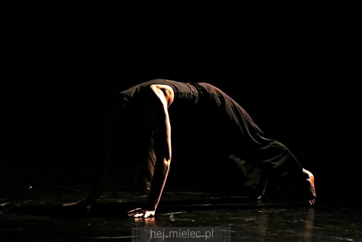 XI Festiwal Tańca Współczesnego: spektakle taneczne i finał