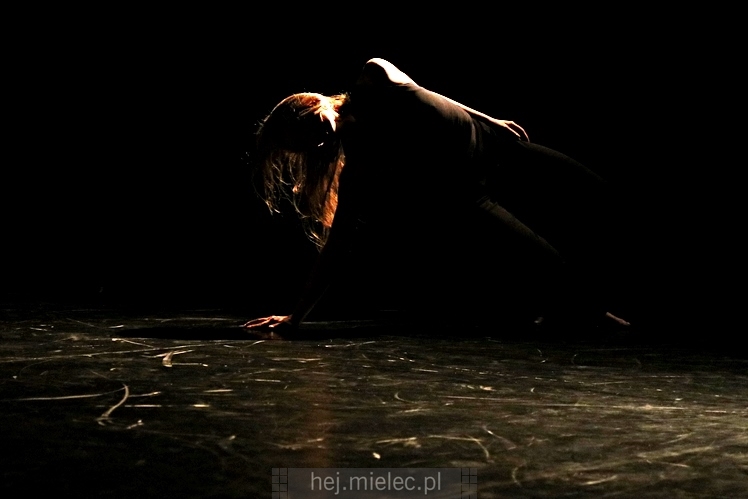 XI Festiwal Tańca Współczesnego: spektakle taneczne i finał