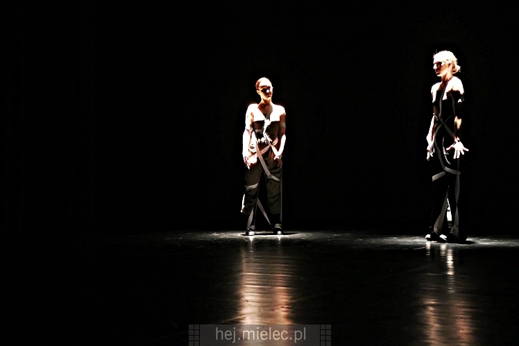 XI Festiwal Tańca Współczesnego: spektakle taneczne i finał
