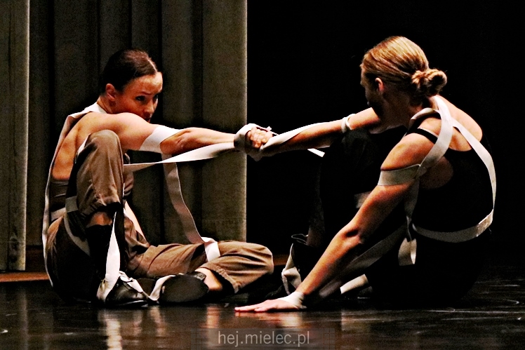 XI Festiwal Tańca Współczesnego: spektakle taneczne i finał