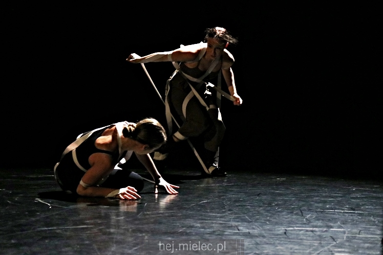 XI Festiwal Tańca Współczesnego: spektakle taneczne i finał