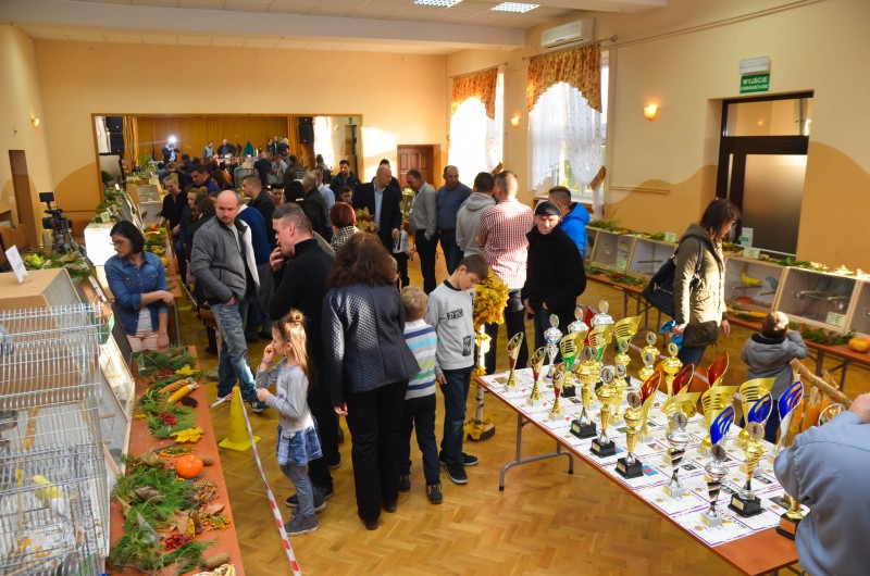 XX Mistrzostwa Hodowców Kanarków i Ptaków Egzotycznych