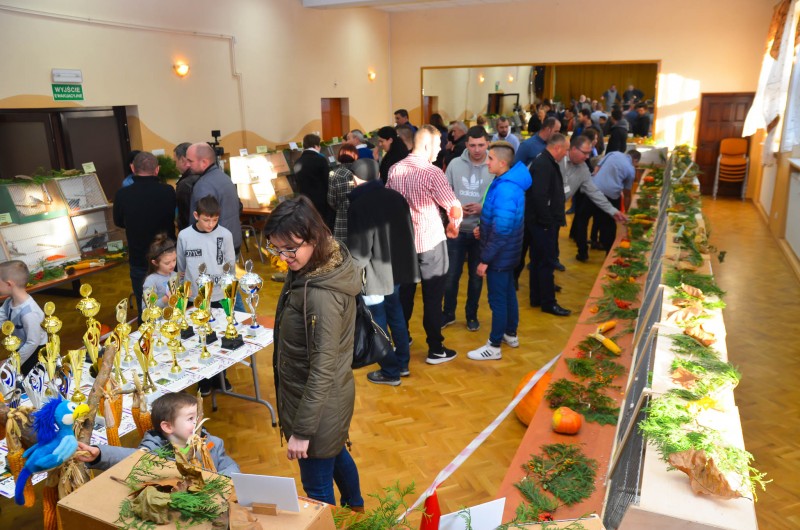 XX Mistrzostwa Hodowców Kanarków i Ptaków Egzotycznych