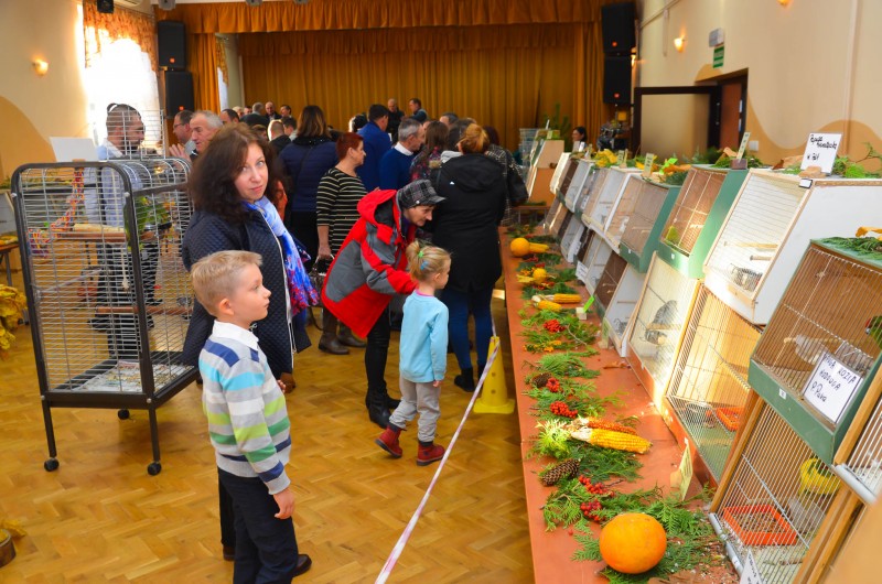 XX Mistrzostwa Hodowców Kanarków i Ptaków Egzotycznych