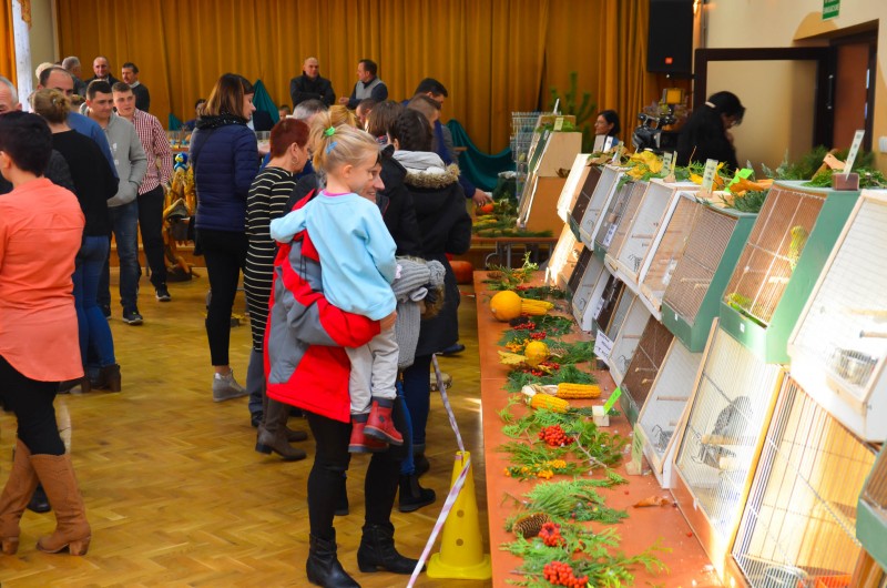 XX Mistrzostwa Hodowców Kanarków i Ptaków Egzotycznych