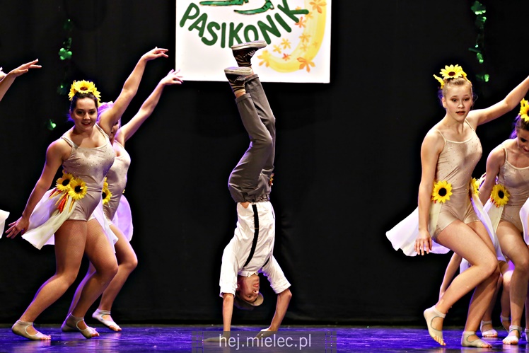 XVI Przegląd Zespołów Tanecznych PASIKONIK 2017