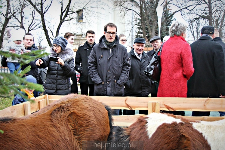 Szopki bożonarodzeniowe w mieleckich parafiach 2017