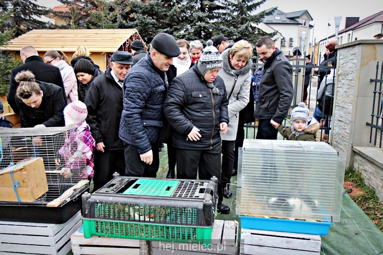 Szopki bożonarodzeniowe w mieleckich parafiach 2017