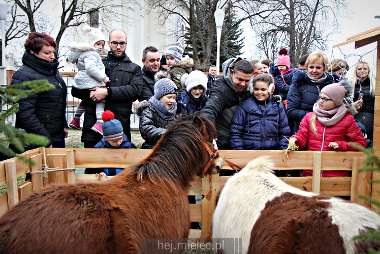 Szopki bożonarodzeniowe w mieleckich parafiach 2017