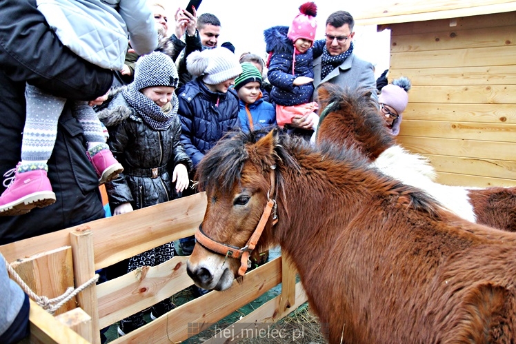 Szopki bożonarodzeniowe w mieleckich parafiach 2017
