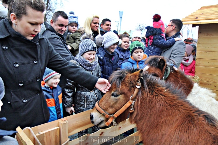 Szopki bożonarodzeniowe w mieleckich parafiach 2017