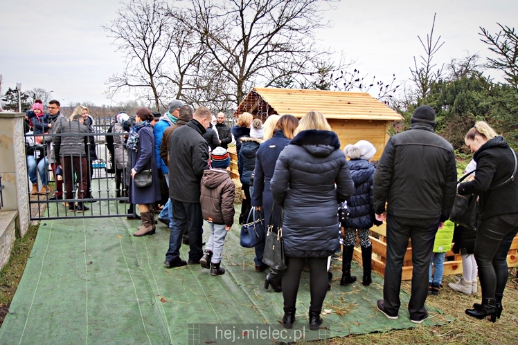 Szopki bożonarodzeniowe w mieleckich parafiach 2017