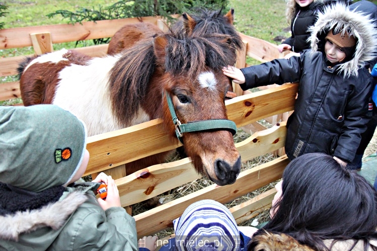 Szopki bożonarodzeniowe w mieleckich parafiach 2017