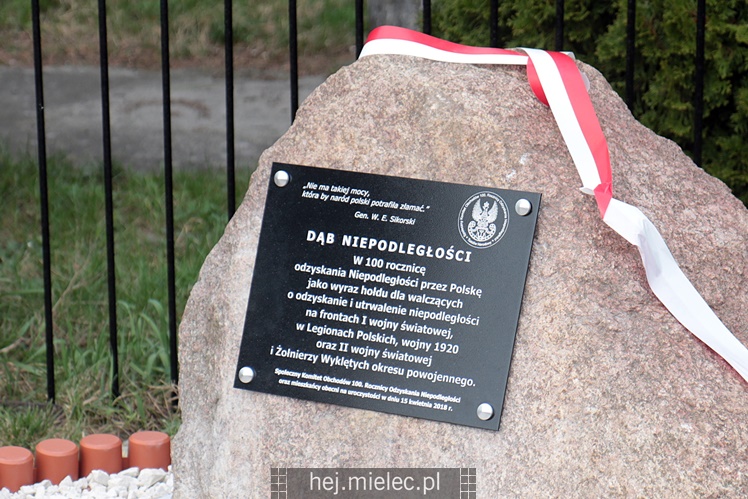 Nadanie imion Dębom Niezłomnych, inscenizacja bitwy NSZ - NKWD