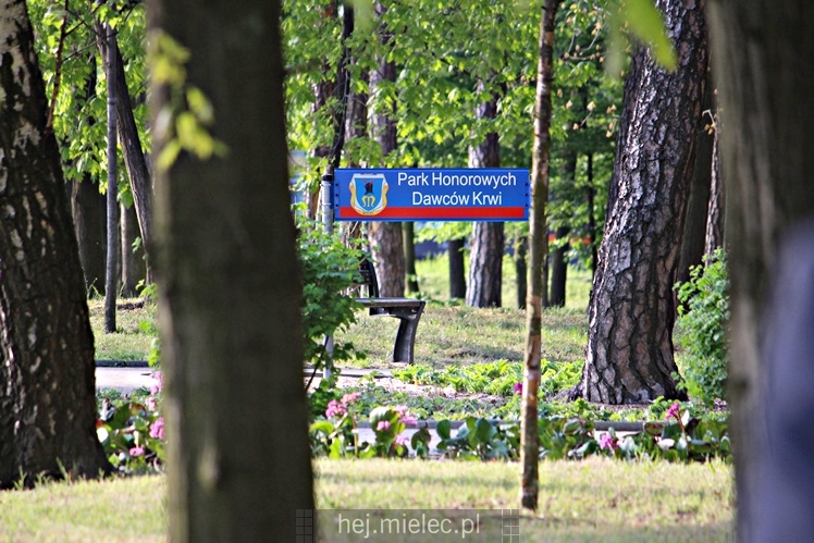 Park Honorowych Dawców Krwi już oficjalnie