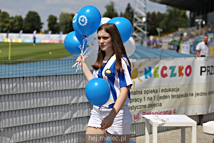 FKS Stal Mielec - Podbeskidzie Bielsko-Biała