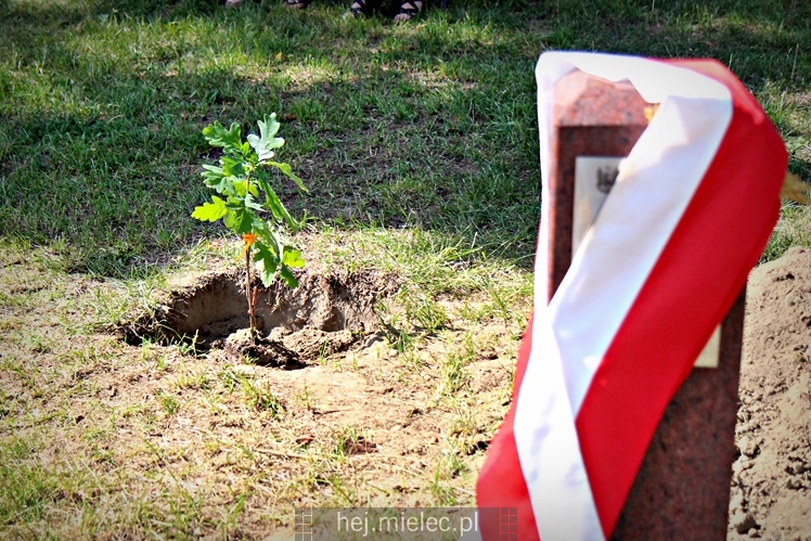 Posadzenie Dębów Niepodległości Jana Weryńskiego i Augusta Jadernego