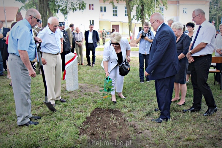 Posadzenie Dębów Niepodległości Jana Weryńskiego i Augusta Jadernego