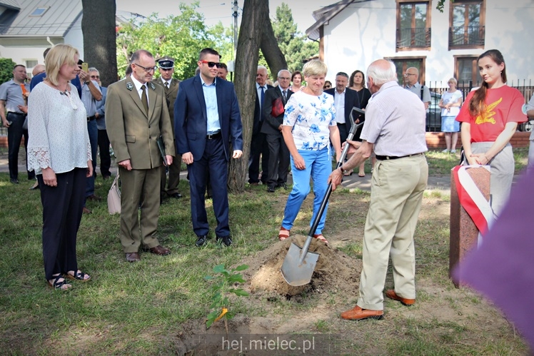 Posadzenie Dębów Niepodległości Jana Weryńskiego i Augusta Jadernego