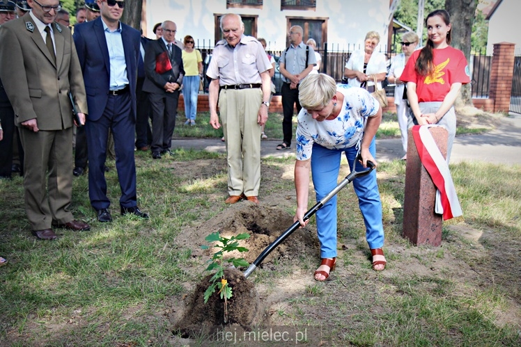 Posadzenie Dębów Niepodległości Jana Weryńskiego i Augusta Jadernego