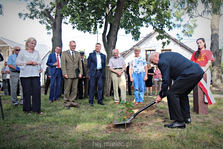 Posadzenie Dębów Niepodległości Jana Weryńskiego i Augusta Jadernego