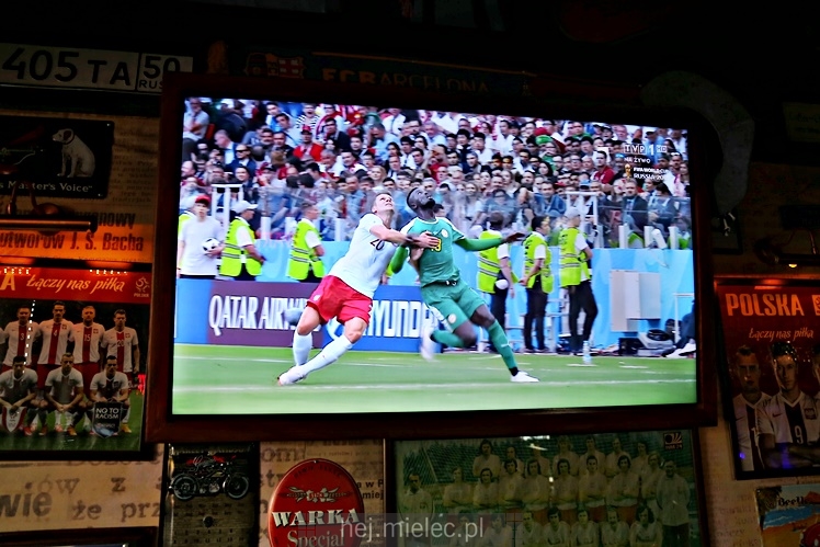 Mundial w Piwiarni Warka: mecz Polska - Senegal