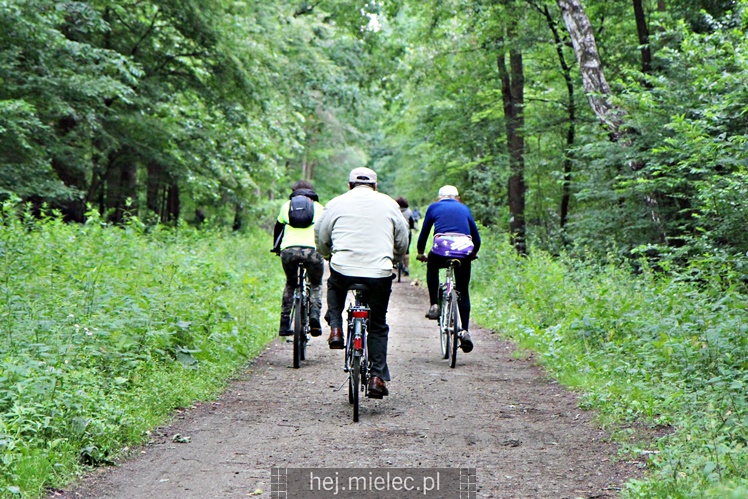 VIII Mielecki Leśny MiniRajd Rowerowy