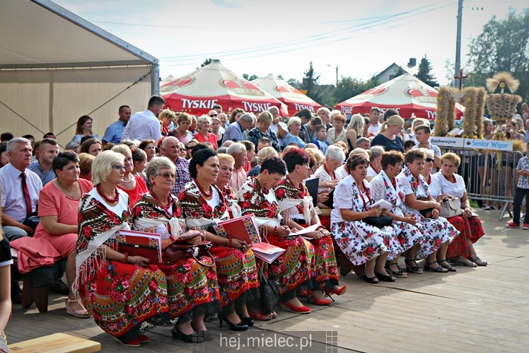 Dożynki 2018 gminy Padew Narodowa w miejscowości Domacyny